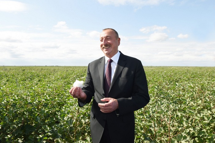 President Ilham Aliyev views cotton fields in Salyan  
